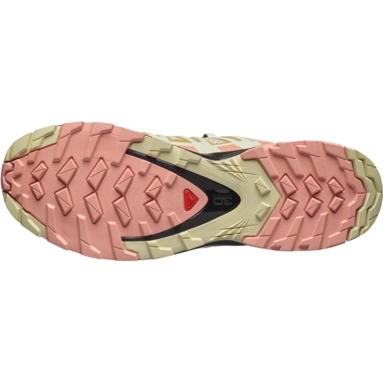 Tenis Para Trail Running Salomon Xa Pro 3d V8 Mujer Multicolor | MX SFUM023
